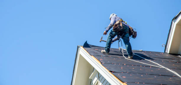 Best Shingle Roofing Installation  in Chepachet, RI